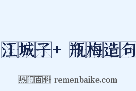 江城子+瓶梅造句是什么意思的图片